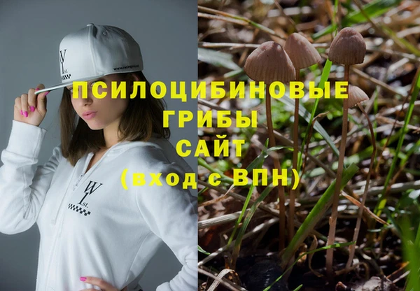 гашик Абдулино