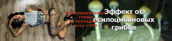 гашик Абдулино