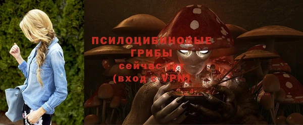 а пвп мука Абаза