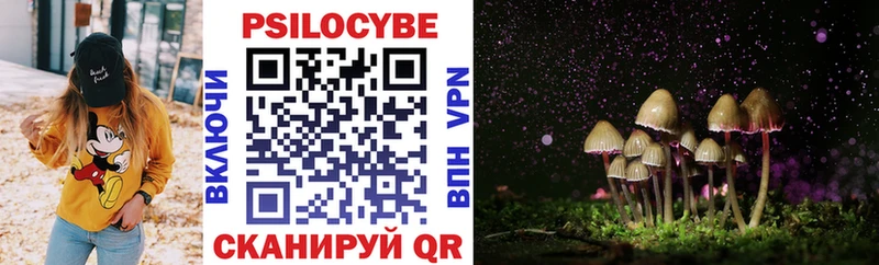 Псилоцибиновые грибы Psilocybe  закладка  Кизилюрт 